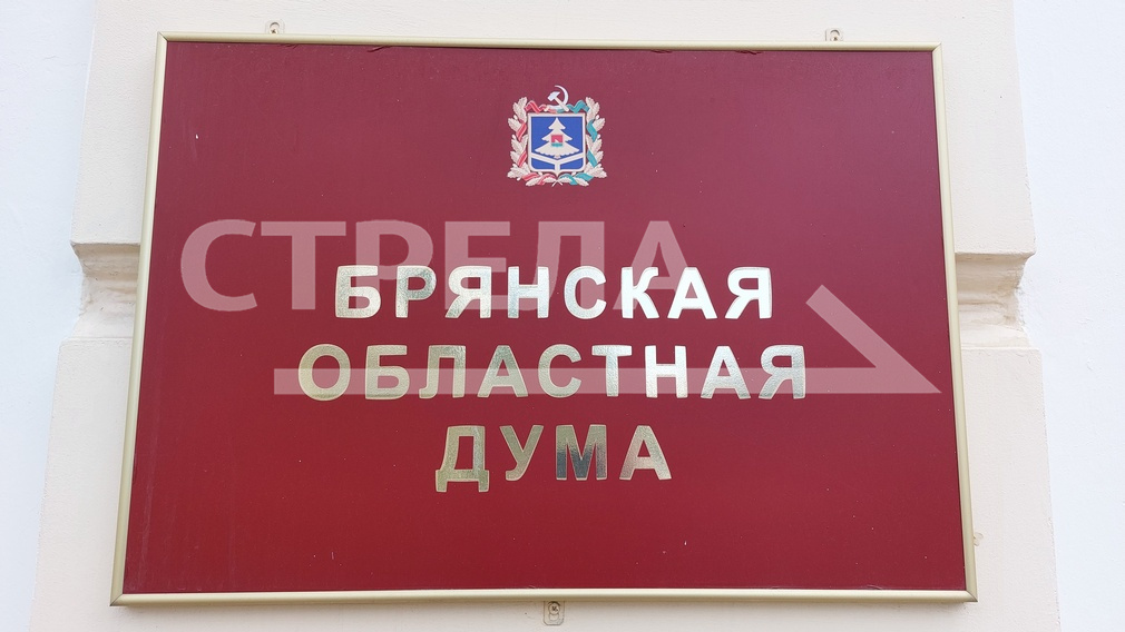 Заместителями спикера Брянской областной думы стали Владимир Пронин и Николай Якушенко