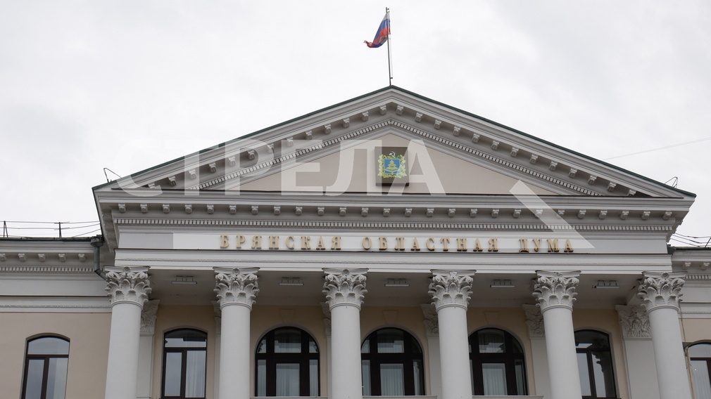 В Брянской областной Думе выбрали председателей постоянных комитетов
