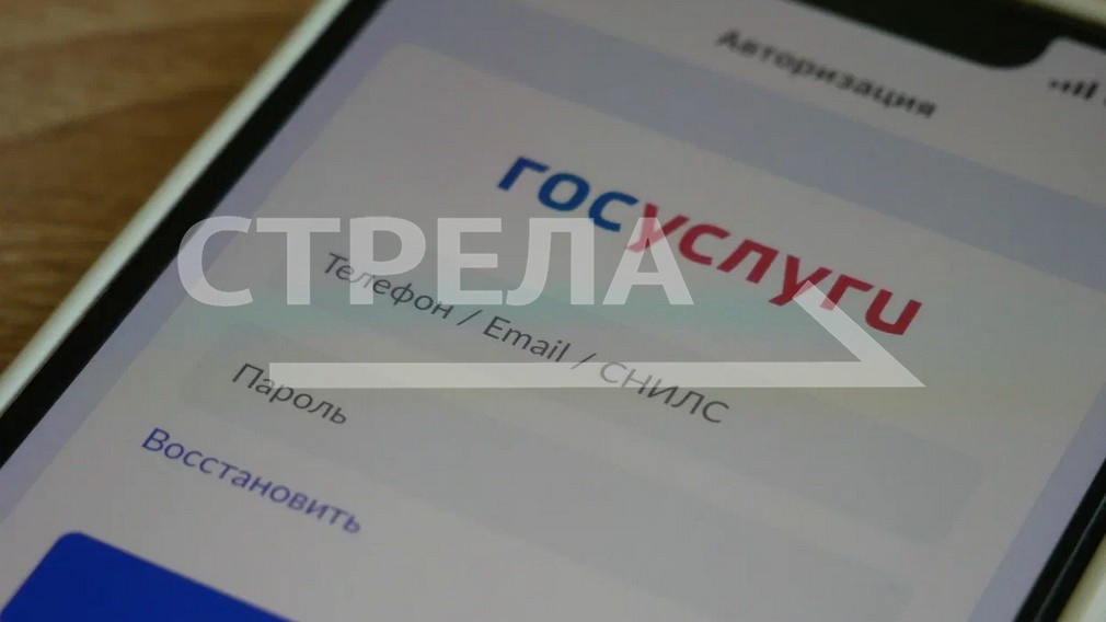 Пользователям «Госуслуг» по всей России рекомендуют выбрать вместо почты Gmail российские аналоги