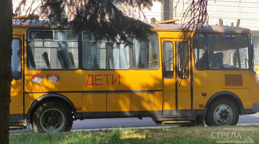 Брянских учащихся будут перевозить 335 школьных автобусов