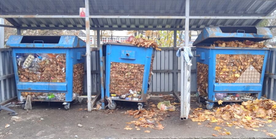 В Фокинском районе Брянска контейнеры для раздельного сбора отходов забили листвой