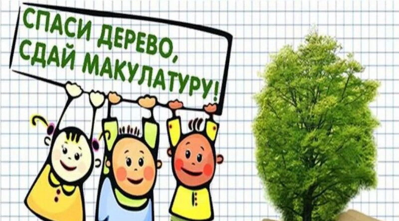 Сохраним деревья вместе! 