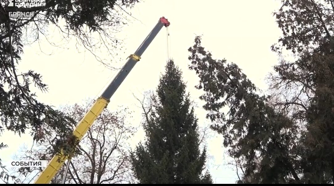 В Брянске 19 декабря откроют 12-метровую новогоднюю ёлку