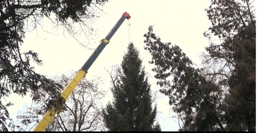 В Брянске 19 декабря откроют 12-метровую новогоднюю ёлку