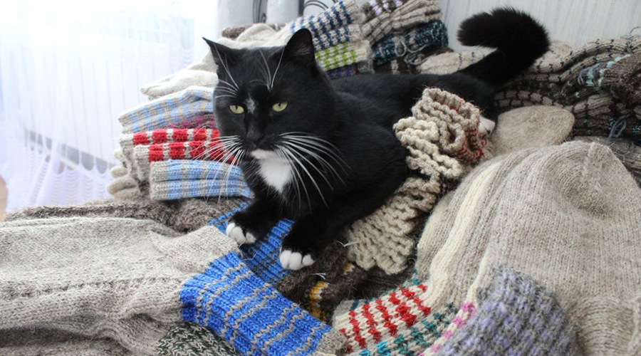 Новозыбковские мастерицы передали теплую посылку бойцам