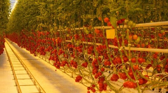 Журиничское сельское поселение динамично развивается по всем направлениям