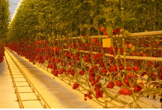 Журиничское сельское поселение динамично развивается по всем направлениям