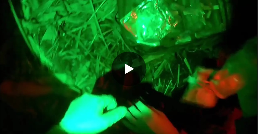 На месте проведения СВО применяют лиофилизированную плазму из Брянска