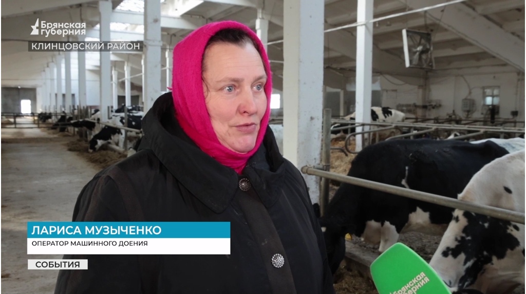 Доярка Лариса Музыченко из Брянской области получила звание «Почетный работник агропромышленного комплекса России»
