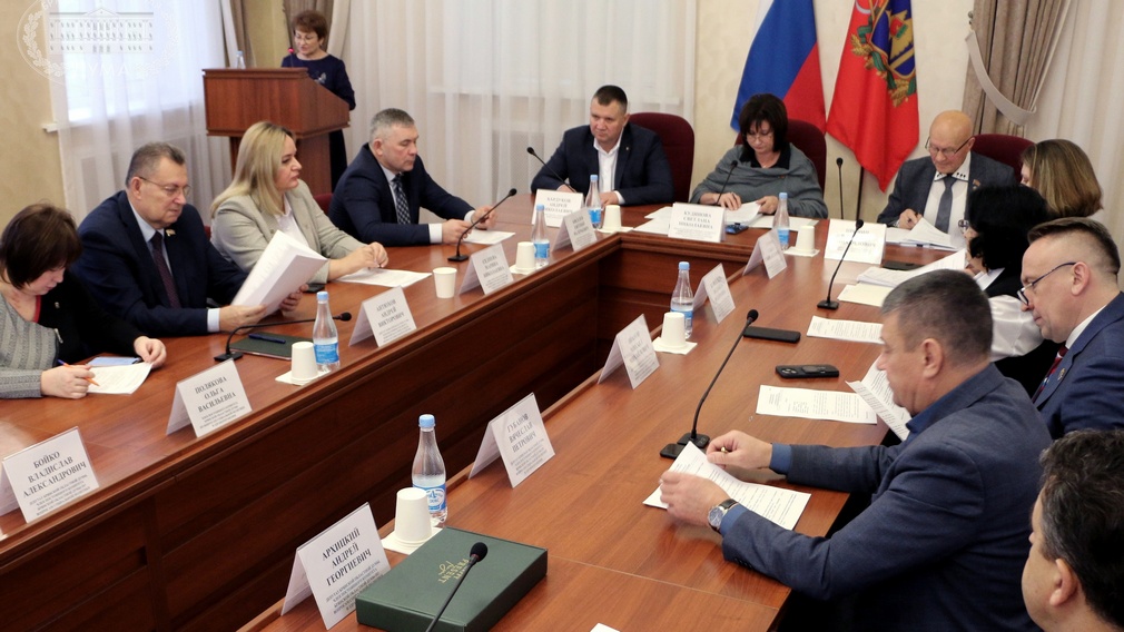 В Брянской областной Думе прошло первое в 2025 году заседание комитета по вопросам социальной политики и здравоохранения