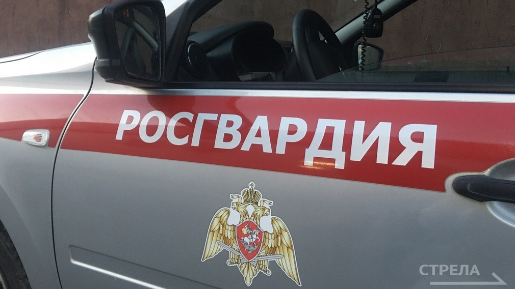 Брянские росгвардейцы уничтожили вражеский дрон в селе Подывотье под Севском