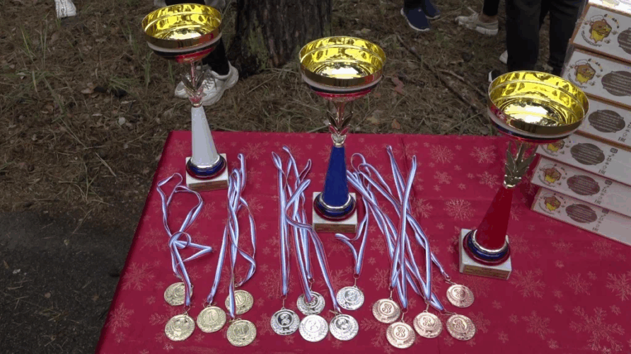 Четверо спортсменов из Брянской области получили звания мастеров спорта России