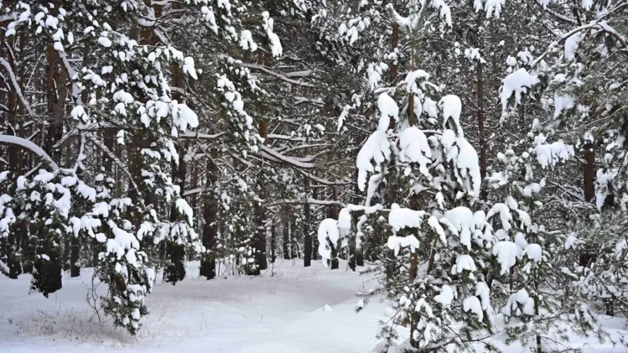 Сегодня брянцы отмечают Крещенский сочельник
