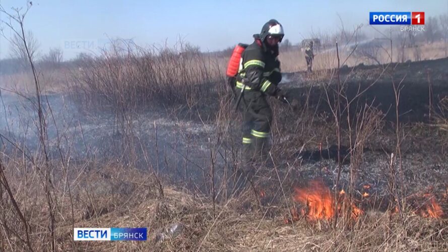 В Брянской области наступил пожароопасный сезон