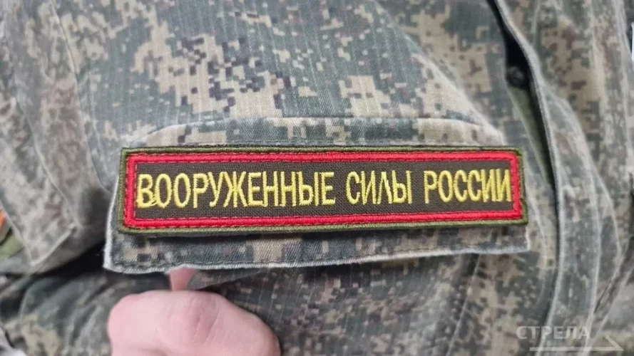 На Брянщине участники СВО могут оформить меры поддержки в МФЦ
