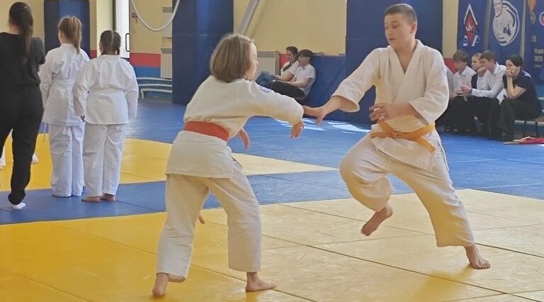 В Брянске разыграли традиционный Кубок Пересвета по айкидо