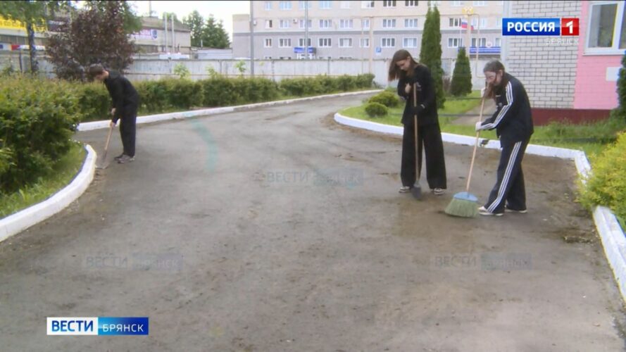 На Брянщине летом смогут трудоустроить около 800 школьников и студентов