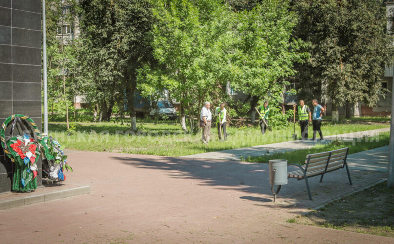В сквере Металлургов города Брянска высадили 35 клёнов