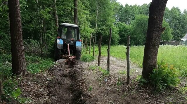 На Брянщине создана системная защита лесов