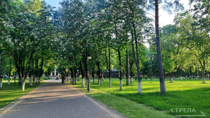 В Брянске олимпийская чемпионка Лариса Куркина проведет зарядку с людьми старшего поколения