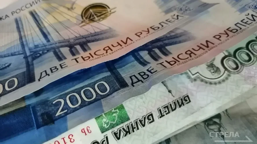 В Брянской области для многодетных семей появилась новая мера поддержки
