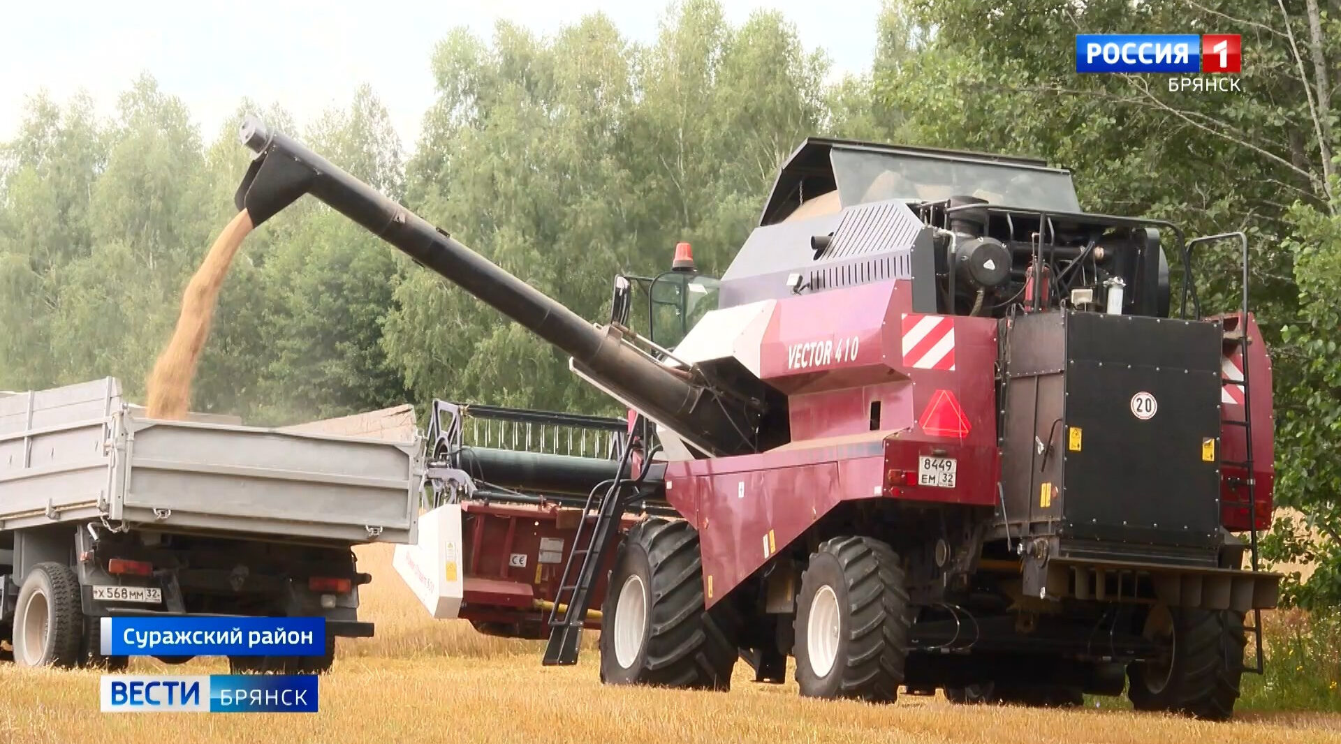 В Брянской области продолжается уборка урожая сельхозкультур