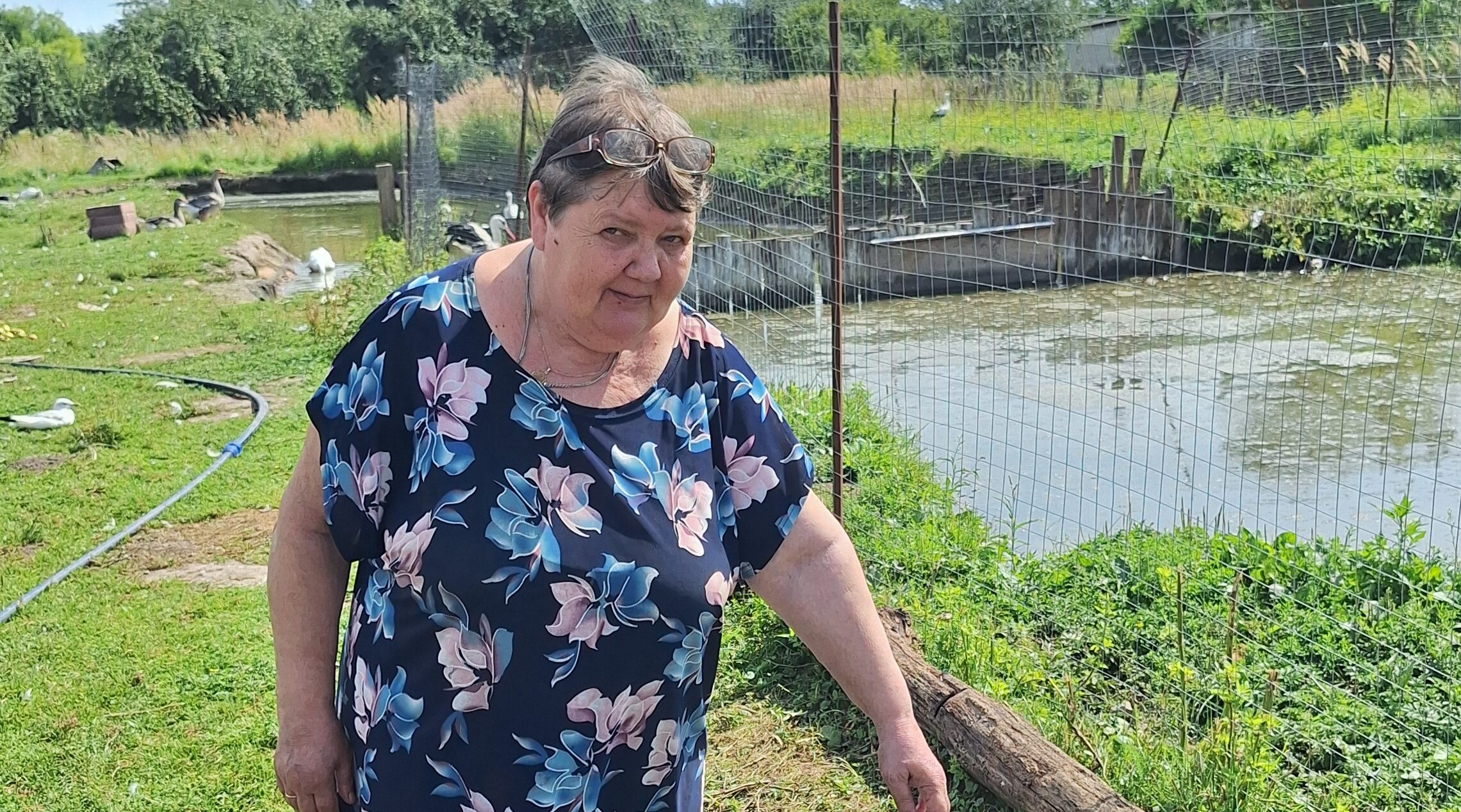 С любовью к братьям нашим меньшим