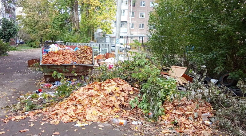 Листья жёлтые над городом кружатся