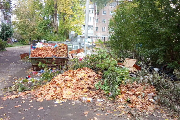 Листья жёлтые над городом кружатся